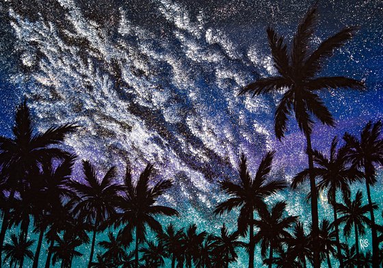 Palm trees shadows and starlight