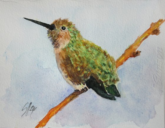 Hummingbird