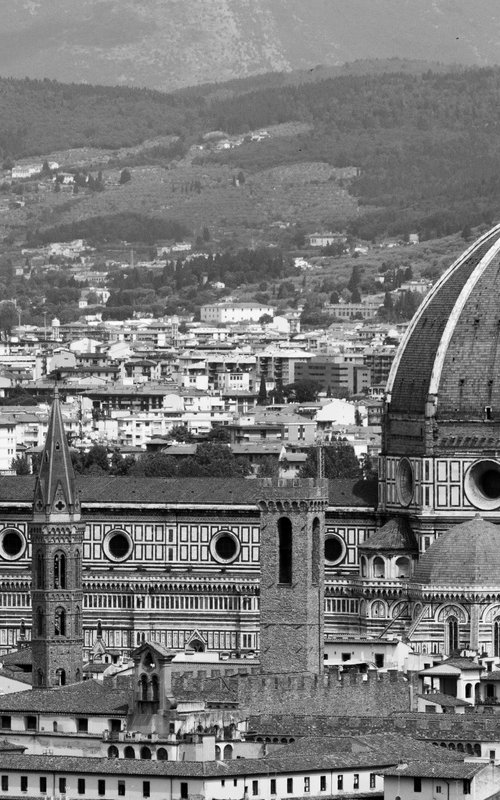 NT#88 Florence panorama and nature I by Mattia Paoli