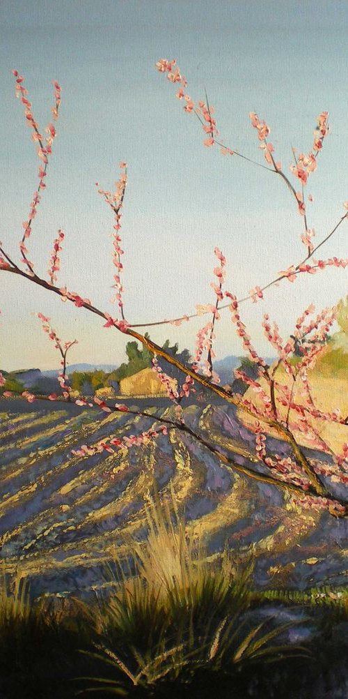 Springtime by Narek Hambardzumyan