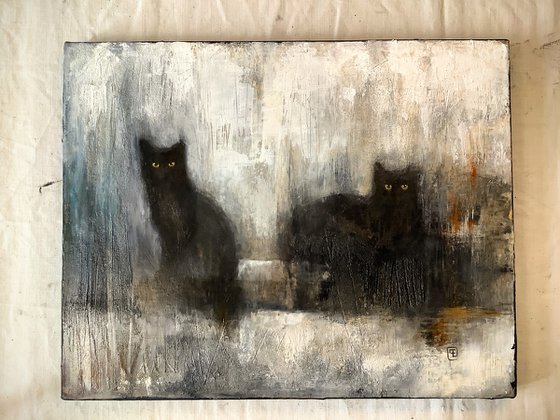 CHATS NOIRS