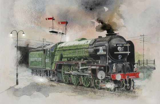 PEPPERCORN CLASS A1 TORNADO