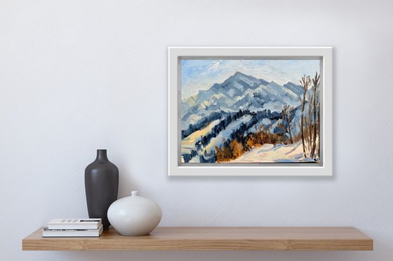 Sunny day in mountains