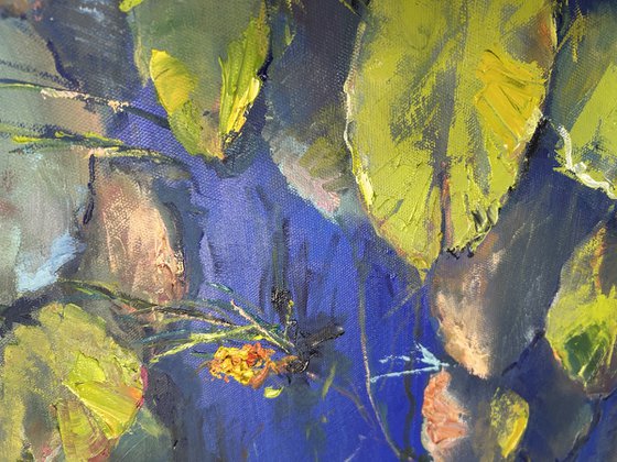 Water Lilies on the Pond