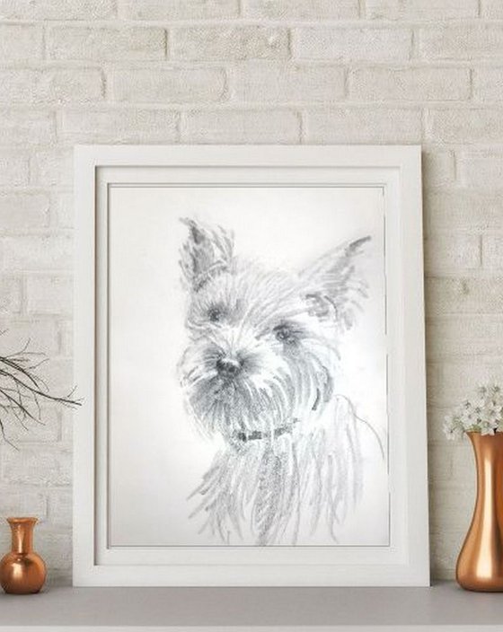 Terrier Portrait  Pet Dog sketch