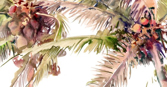 Coconut Palms in the Wind