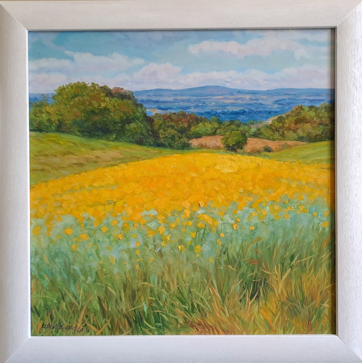 Yellow field in Tuscany by Claudio Ciardi