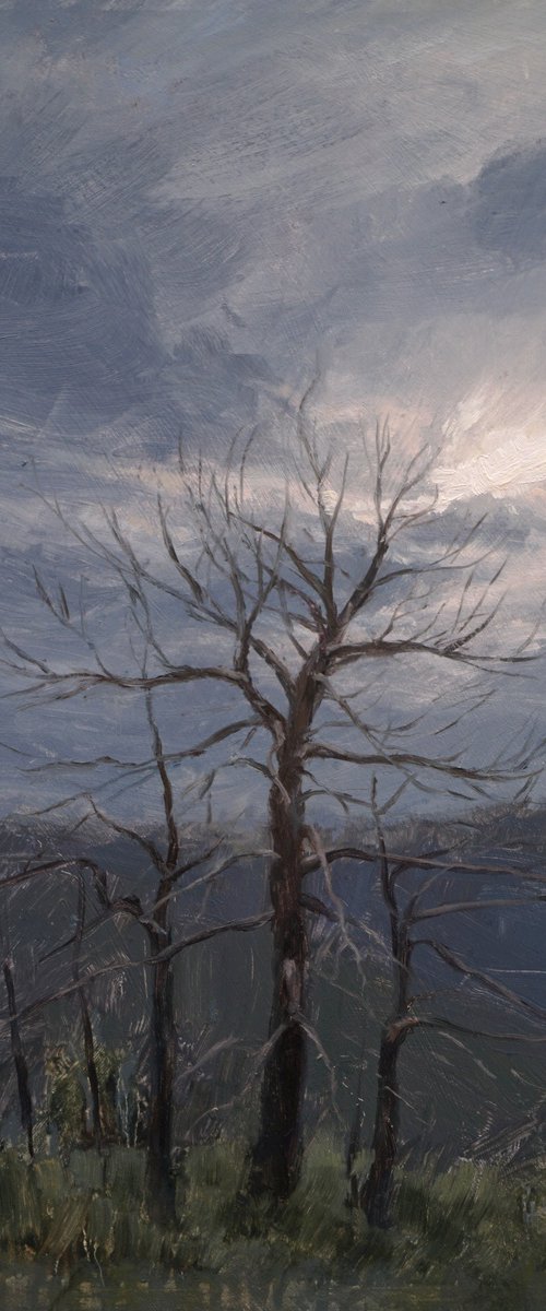 A brewing storm by Daniel Thoms