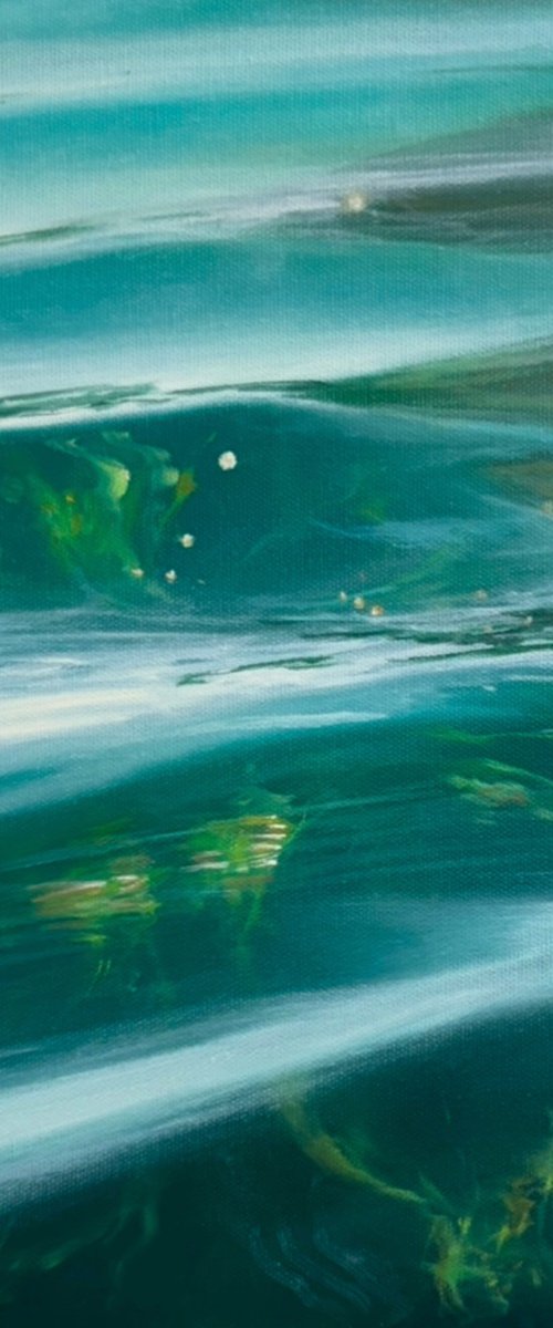 “Soft motion” by Alena Panchishin