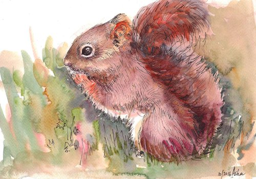 Red Squirrel Art -A nutty encounter by Asha Shenoy