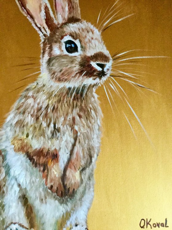 Honey bunny 5