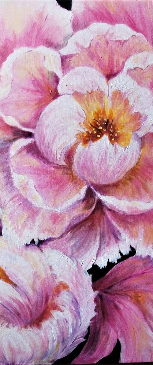 PEONY PETALS by Lynda Cockshott