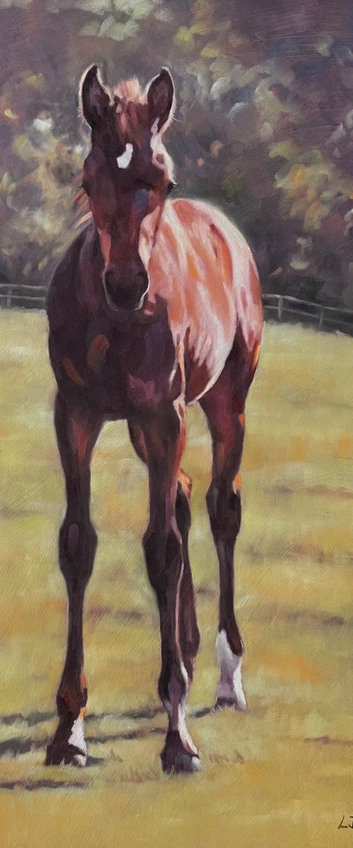 Ready To Go - Bay Foal by Lorna Lancaster ASEA