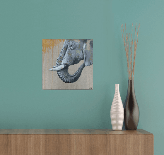 Elephant Grey #2