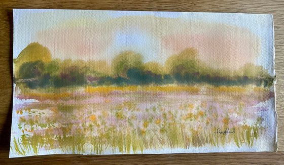 Buttercup meadow sunrise