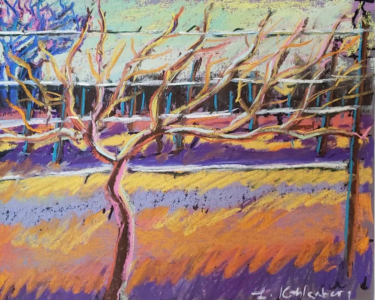 Bare Vineyard in Winter by Leah Kohlenberg Fine Art