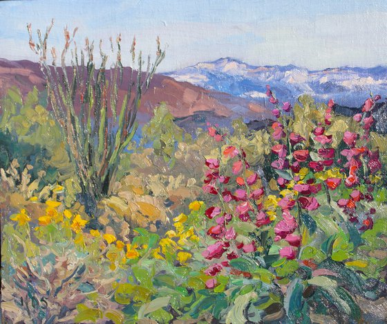 Spring Blooms In The Desert