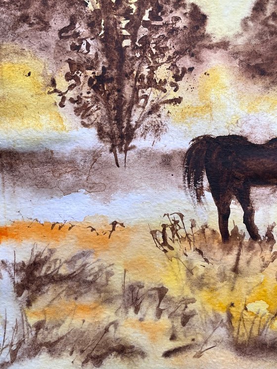 Horse in the mist