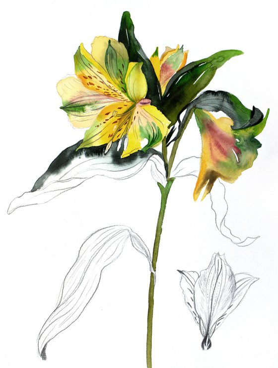 Lilies No. 7