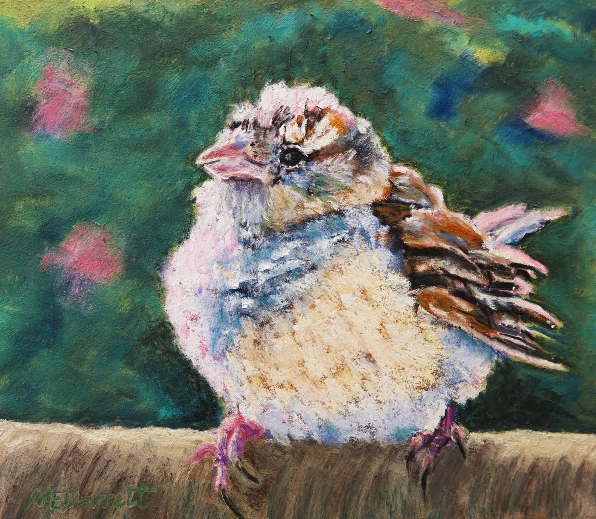 Baby Sparrow by Marion Derrett