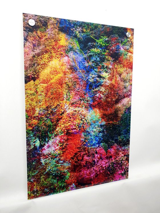 Wall of Nature XXII (aluminium dibond + acrylic glass)