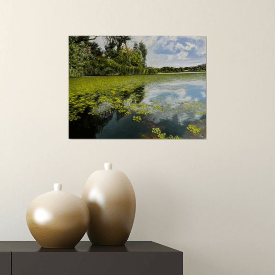 Water Lilies and Cloud Reflections
