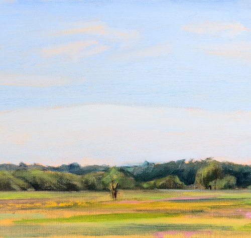 Meadow at Noon by Eliza Kołodziej