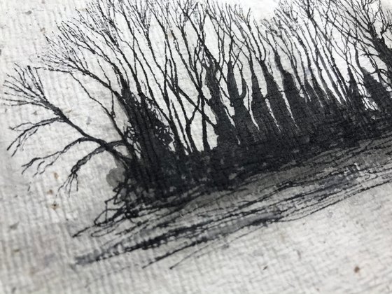 Winter Trees against the Sky in Pen and Ink - Traditional English Landscape -  Flitcham, Norfolk