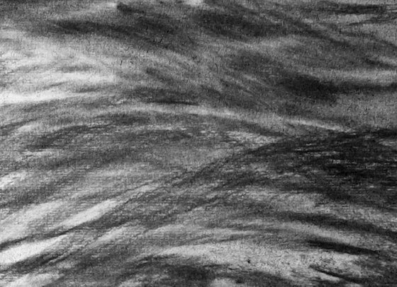River Flow Patterns (Flood)