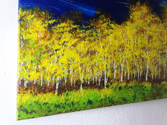 Autumn birch forest