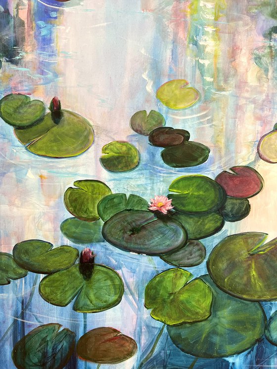 Water Lilies 6