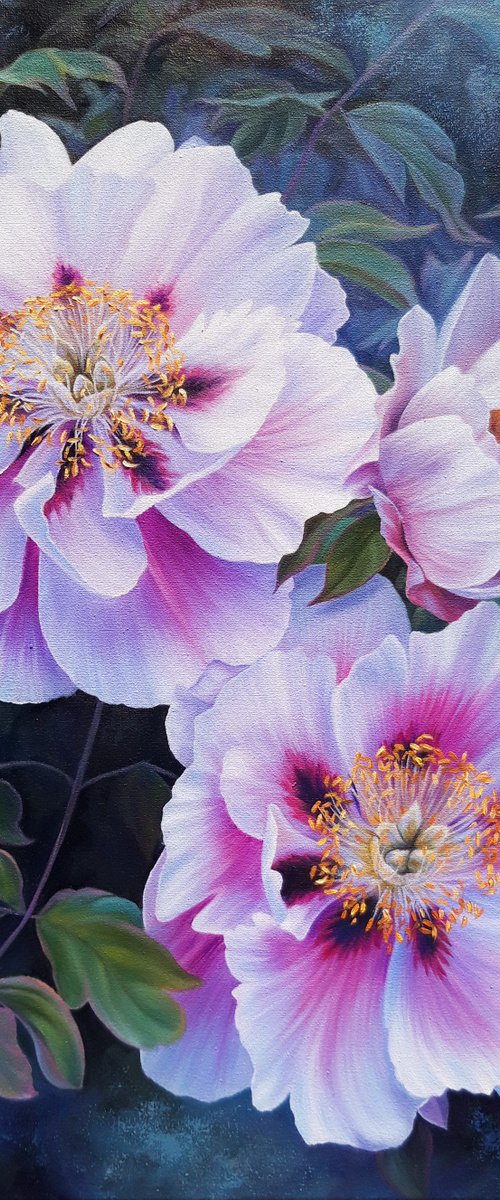 "Peonies in the garden" by Anna Steshenko