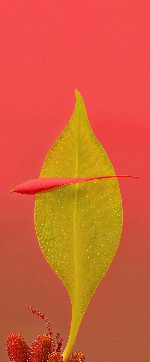 Floral Expressionism VII by Richard Gibson