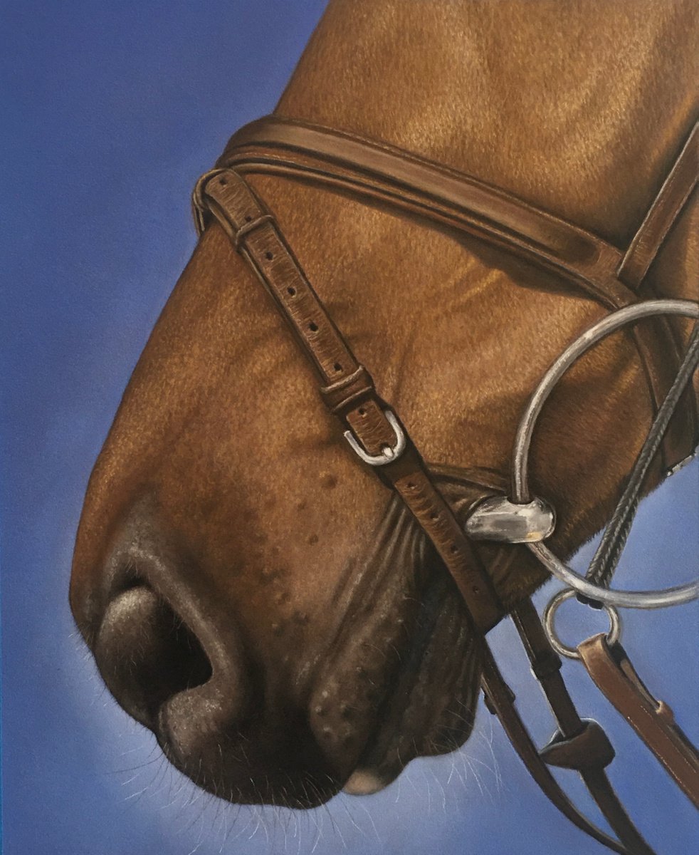 Horse and Bridle by Debra Spence