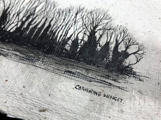 Winter Trees against the Sky in Pen and Ink - Traditional English Landscape -  Flitcham, Norfolk