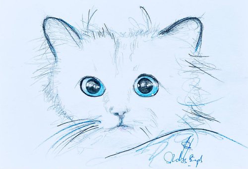 Choupette 2 by Shabs  Beigh