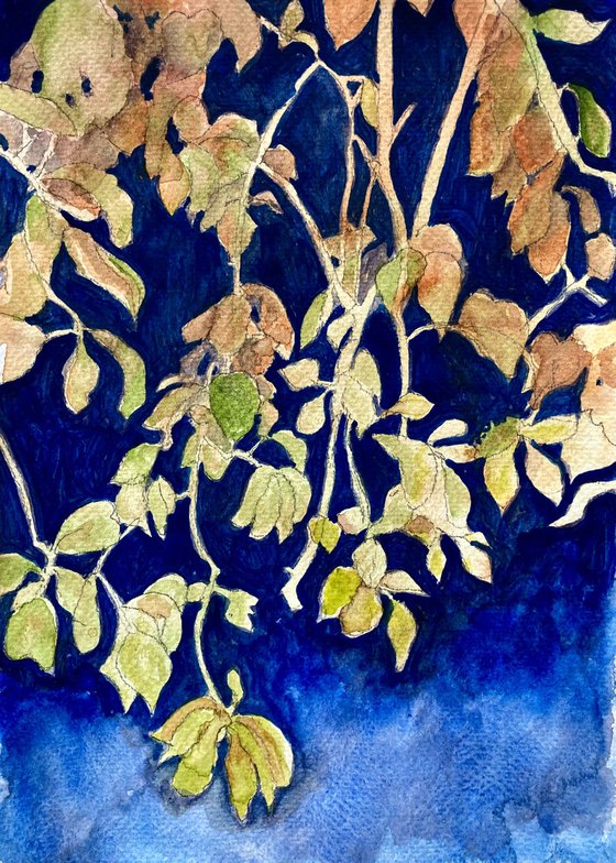 Leaves at night