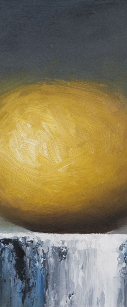 Still life Lemon by Damien Venditti