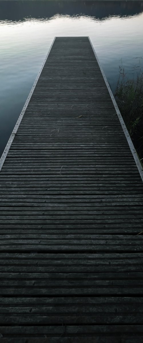 INSIDE THE LAKE by Fabio Accorrà