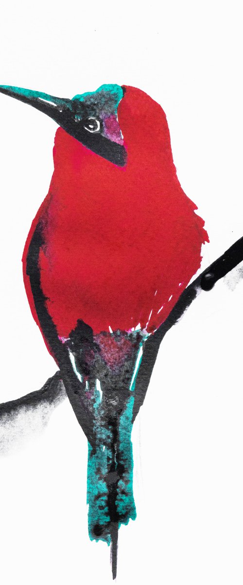 Bird by Nadia Moniatis