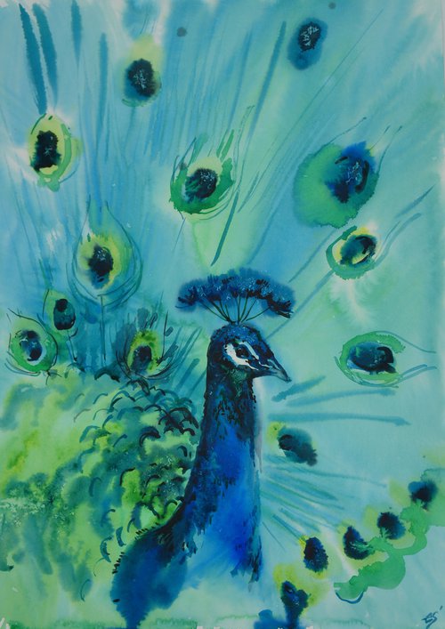 Peacock by Elena Sanina