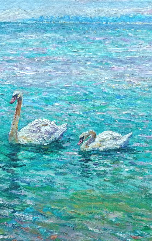 Swans of the Black Sea. by Svitlana Gunchenko