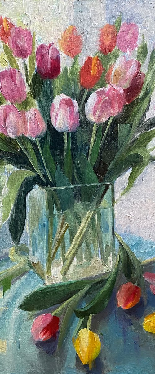 Tulip by Window by Ling Strube