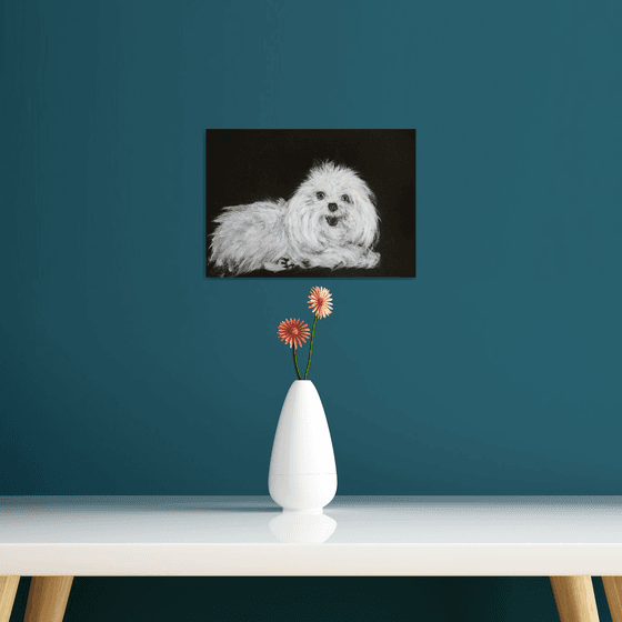 Bolognese... Portrait of a small cute dog /  ORIGINAL PAINTING