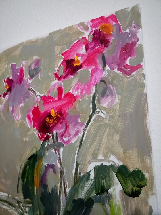 #32/24 Orchids