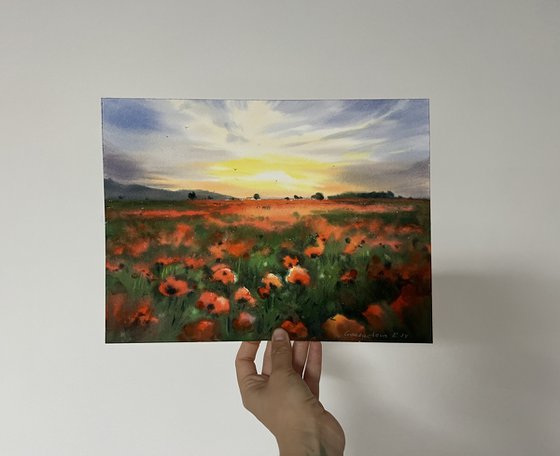 Poppy field at sunset