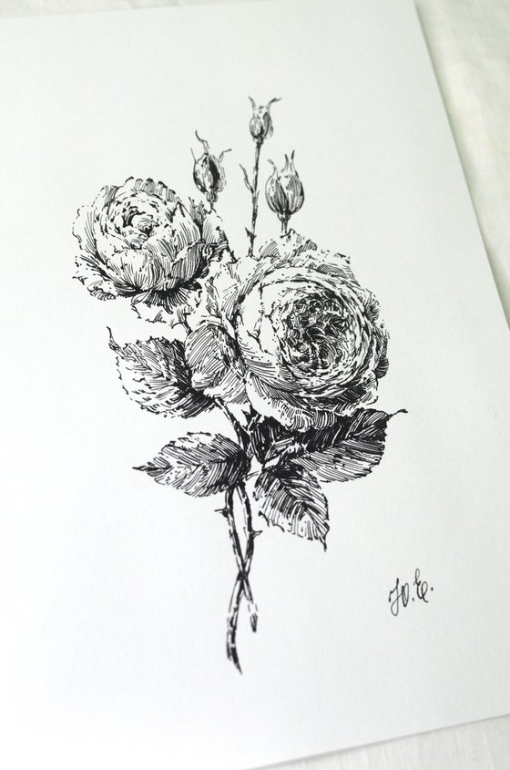 Ink David Austin Roses