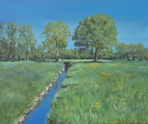 Spring meadow by Britta Kröger