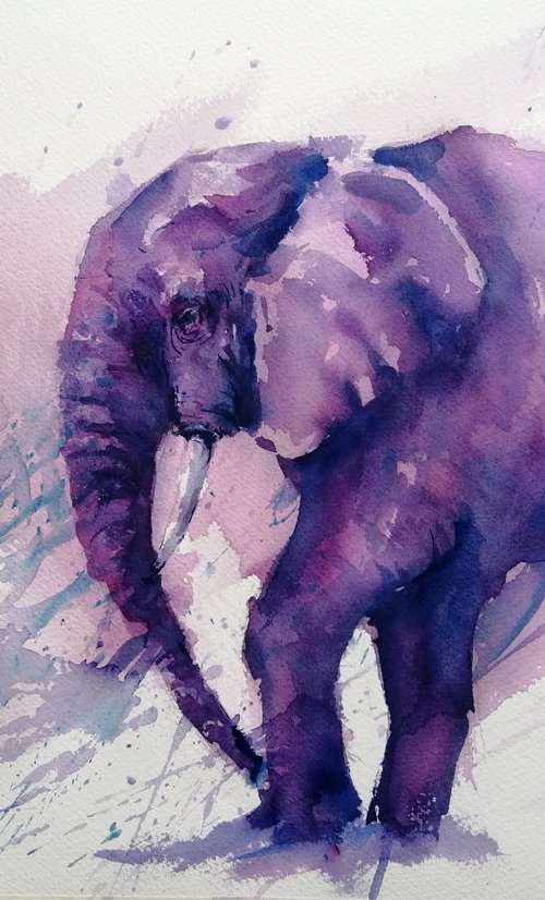 elephant 13 by Giorgio Gosti