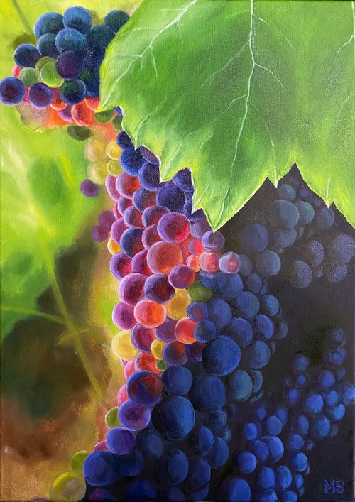 Sunny Grapes, 50 х 70 cm, oil on canvas by Marina Zotova
